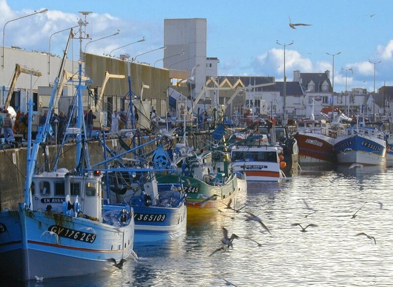 1974 : L'invincible Armada des Cormorans