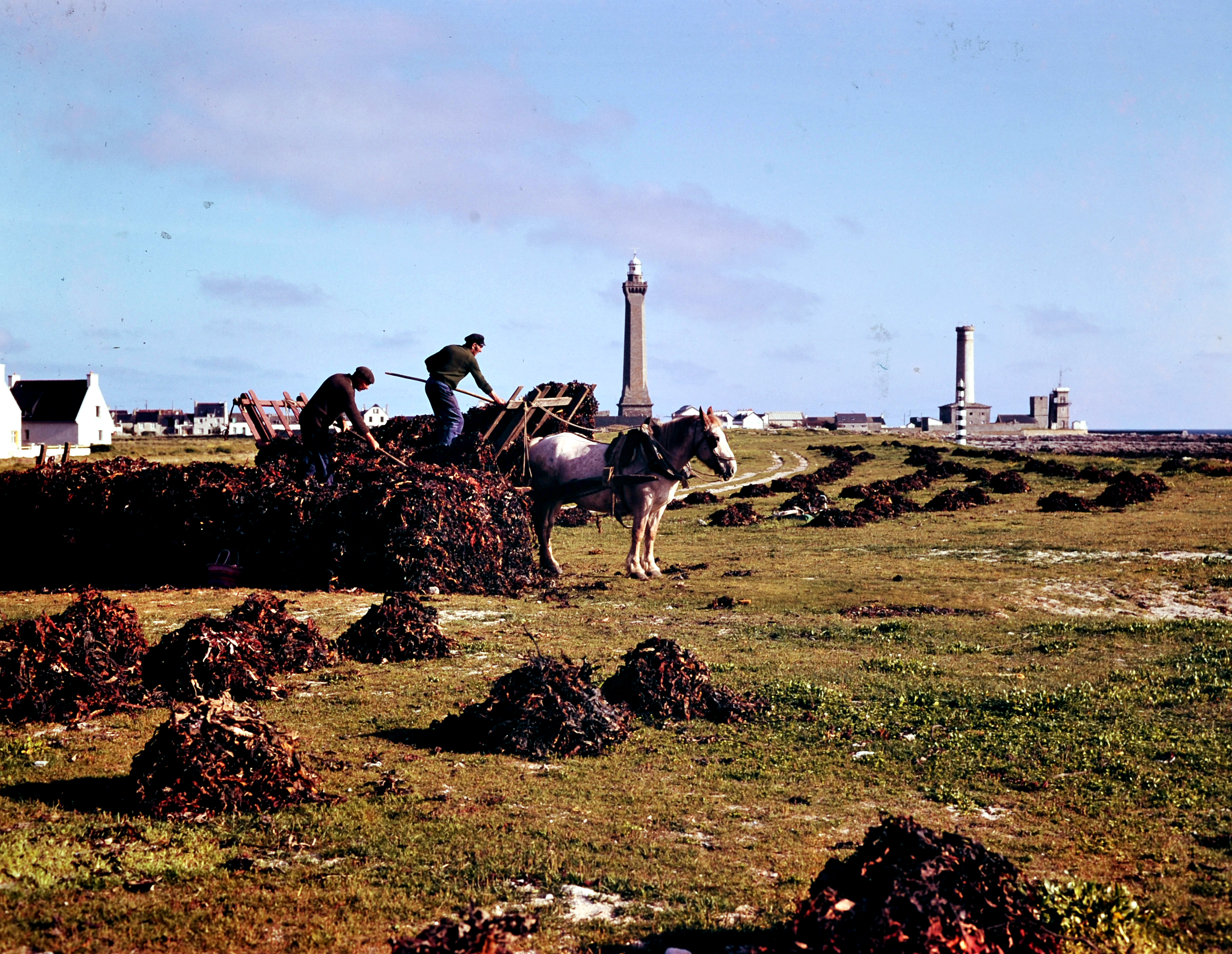 Alain Guénolé et Vincent Larnicol