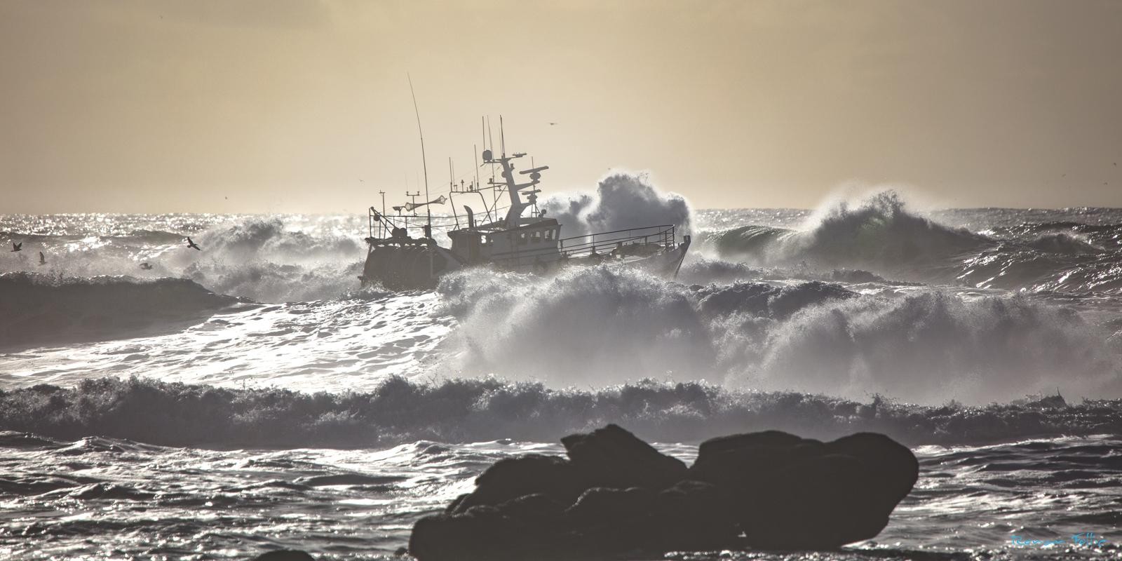 Tempete 6