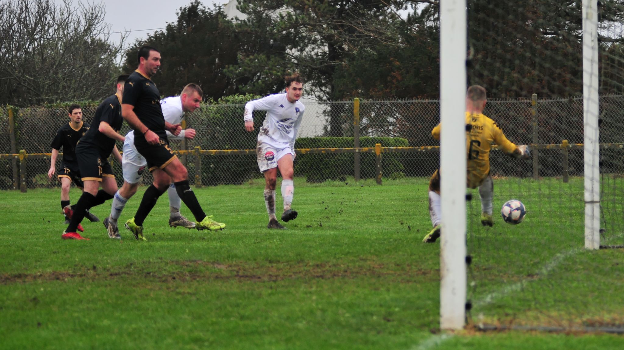 DSC 3693 DxO