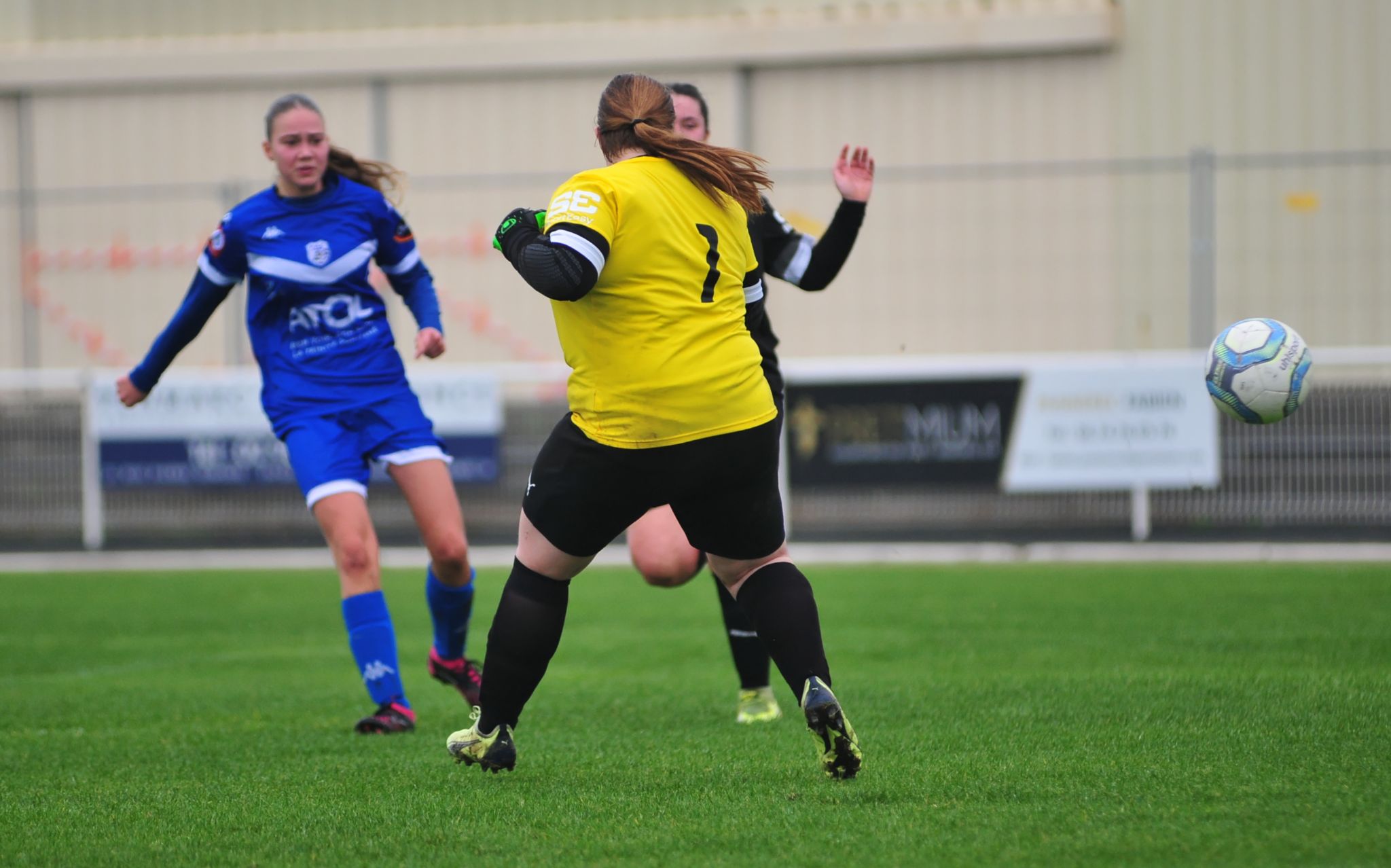 DSC 4086 DxO
