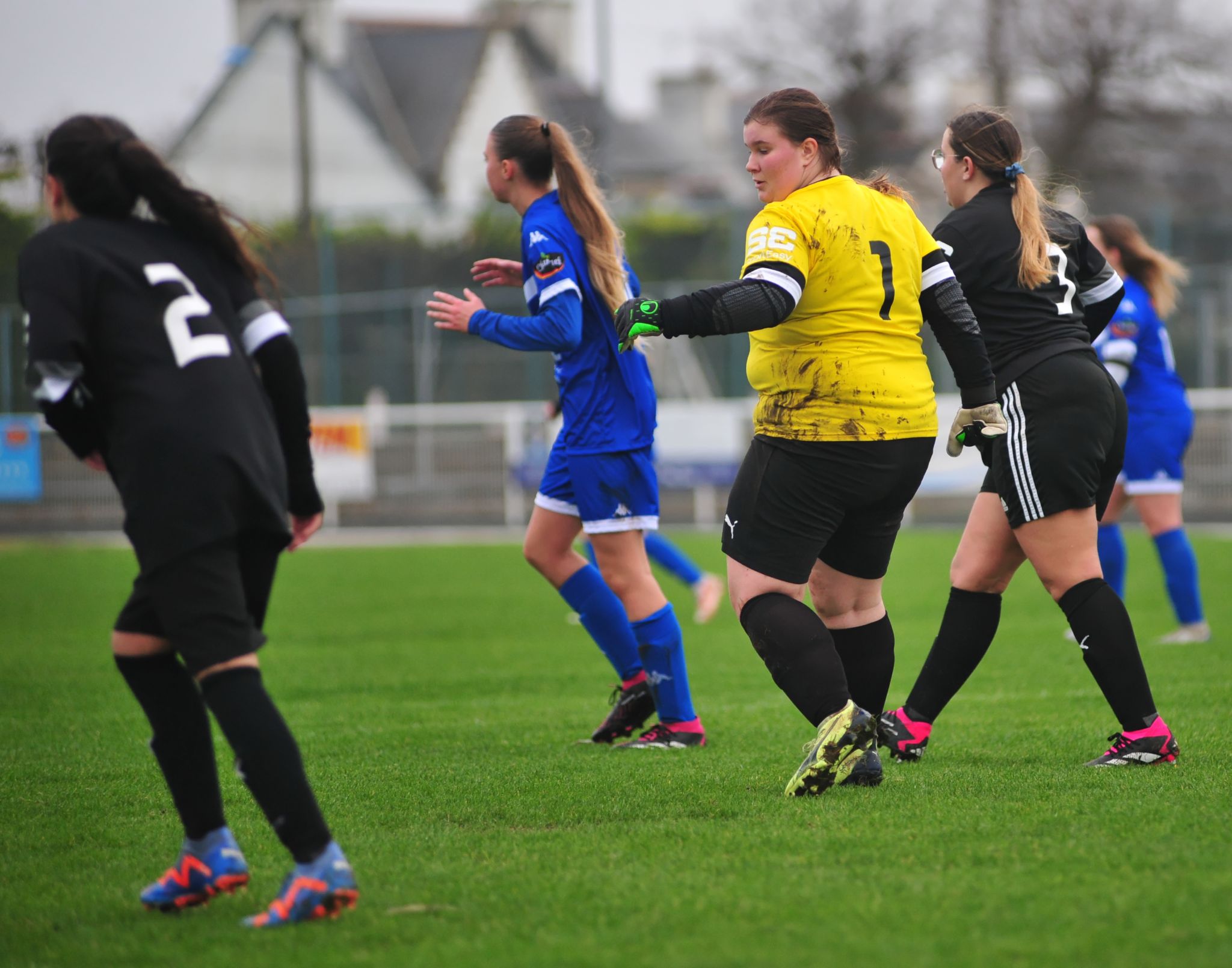 DSC 4236 DxO