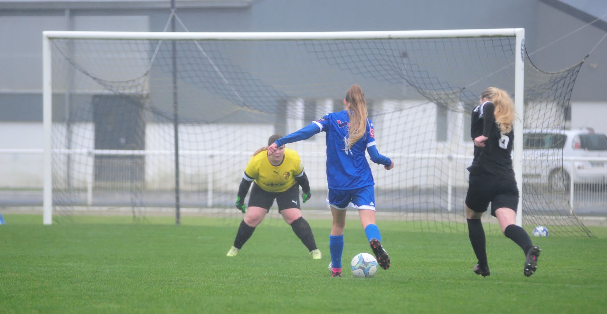 DSC 4307 DxO