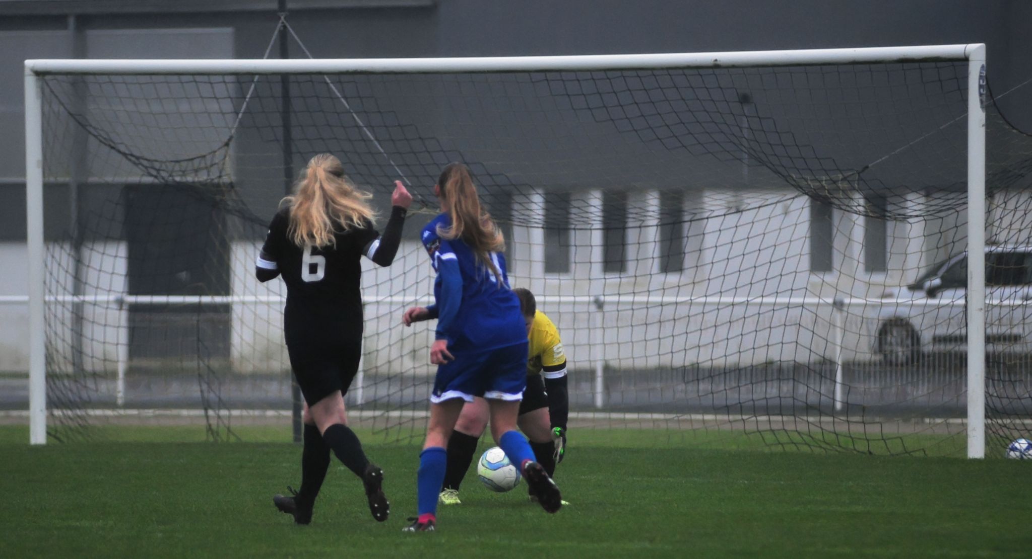 DSC 4310 DxO