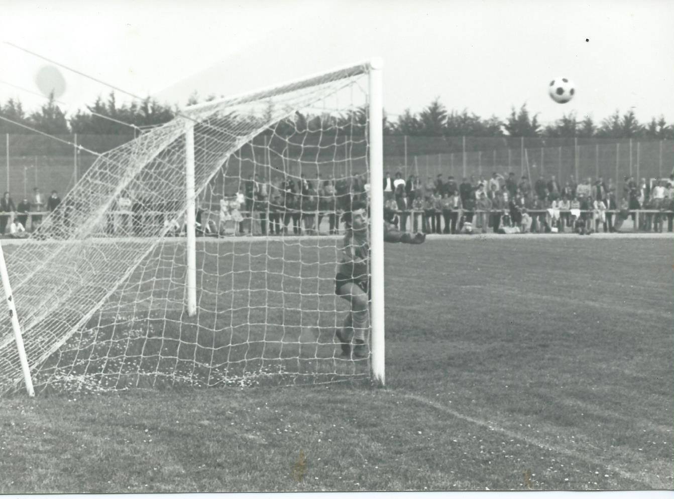 15016212 1227716333916923 2985099283491987347 o