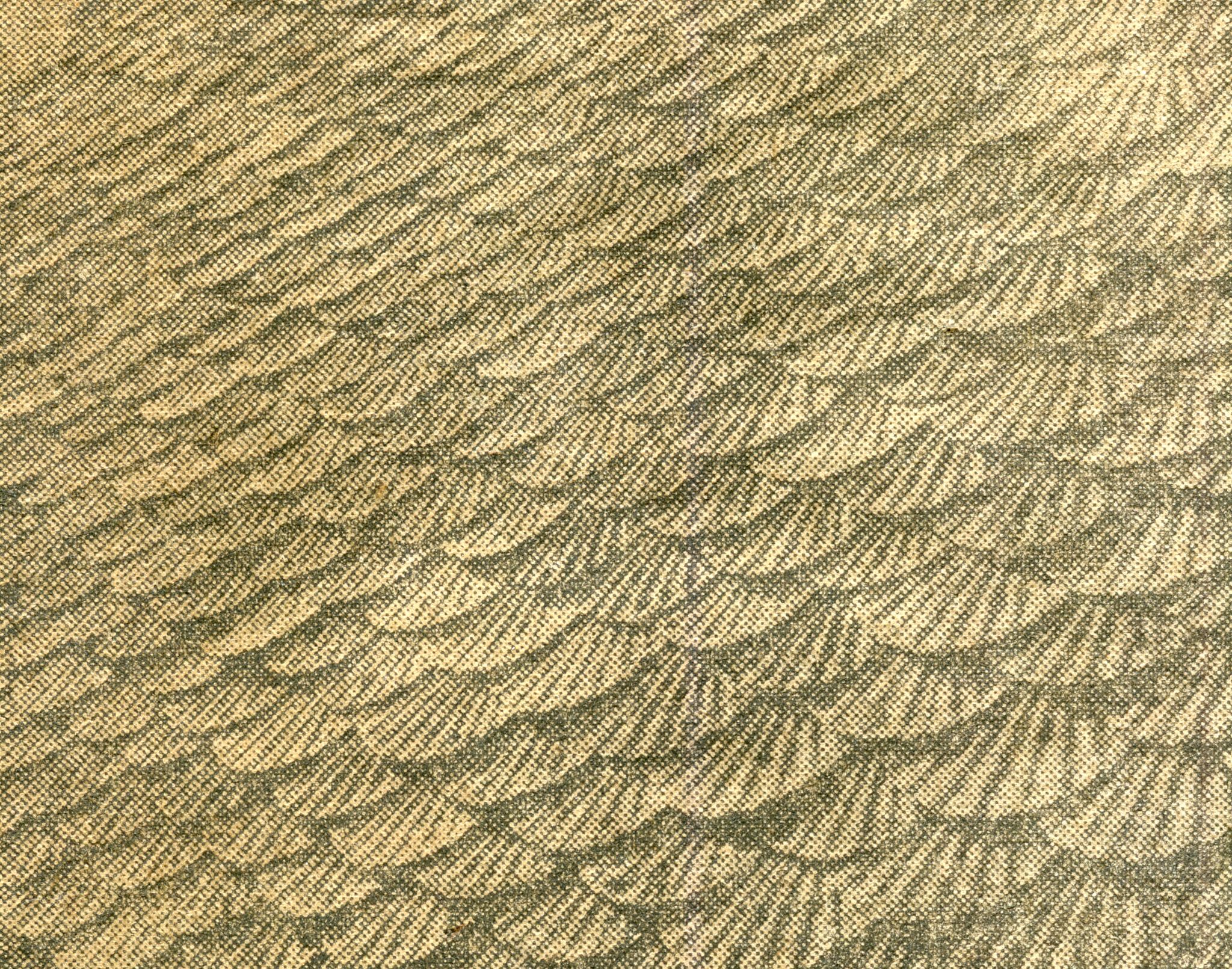 vue frappante du toit unique au monde