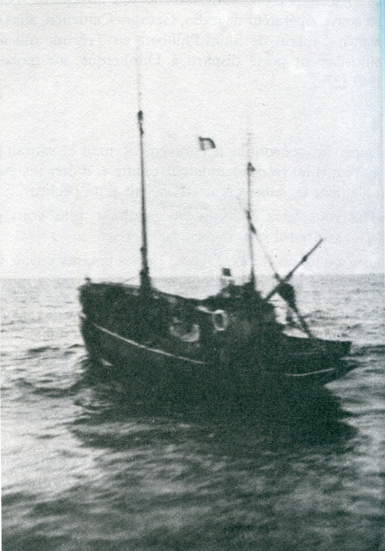 Le "Papillon des vagues"