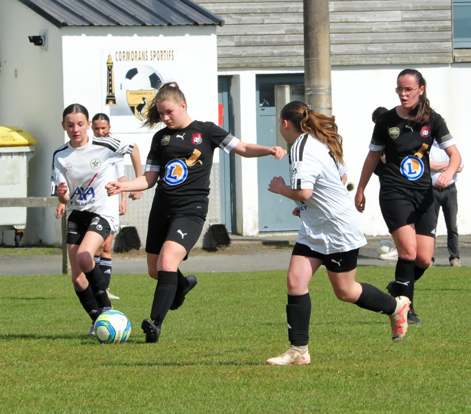DSC 5014 DxO