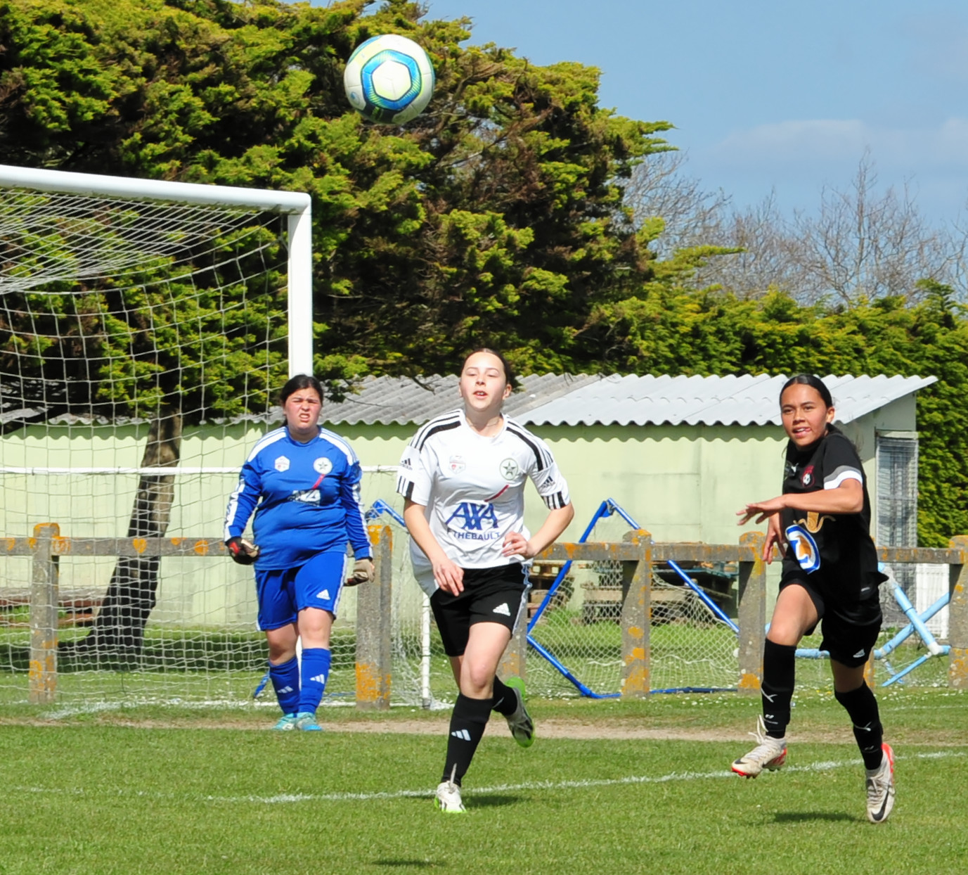 DSC 5035 DxO