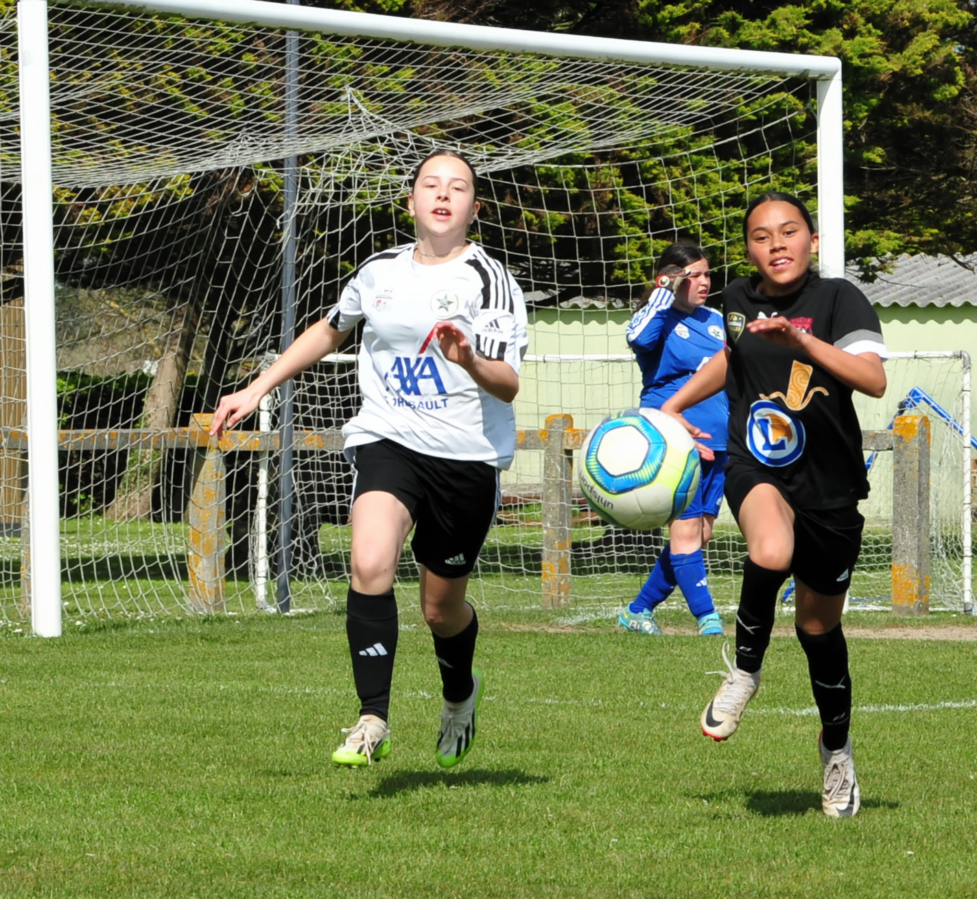 DSC 5038 DxO