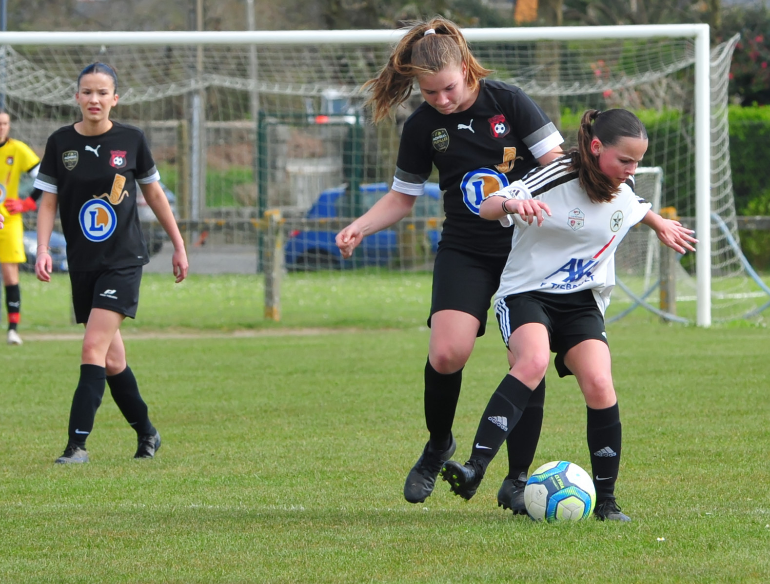 DSC 5118 DxO