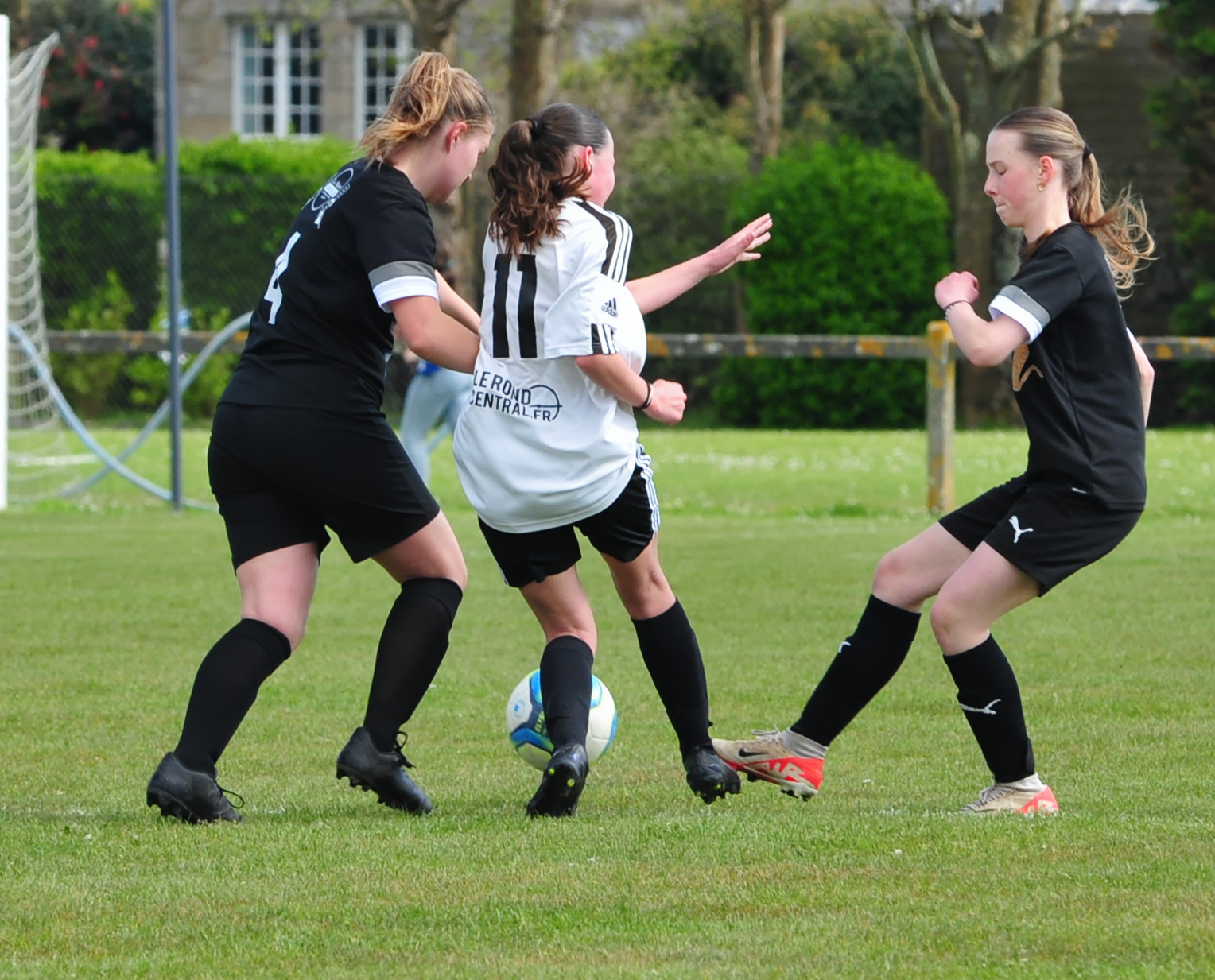 DSC 5125 DxO