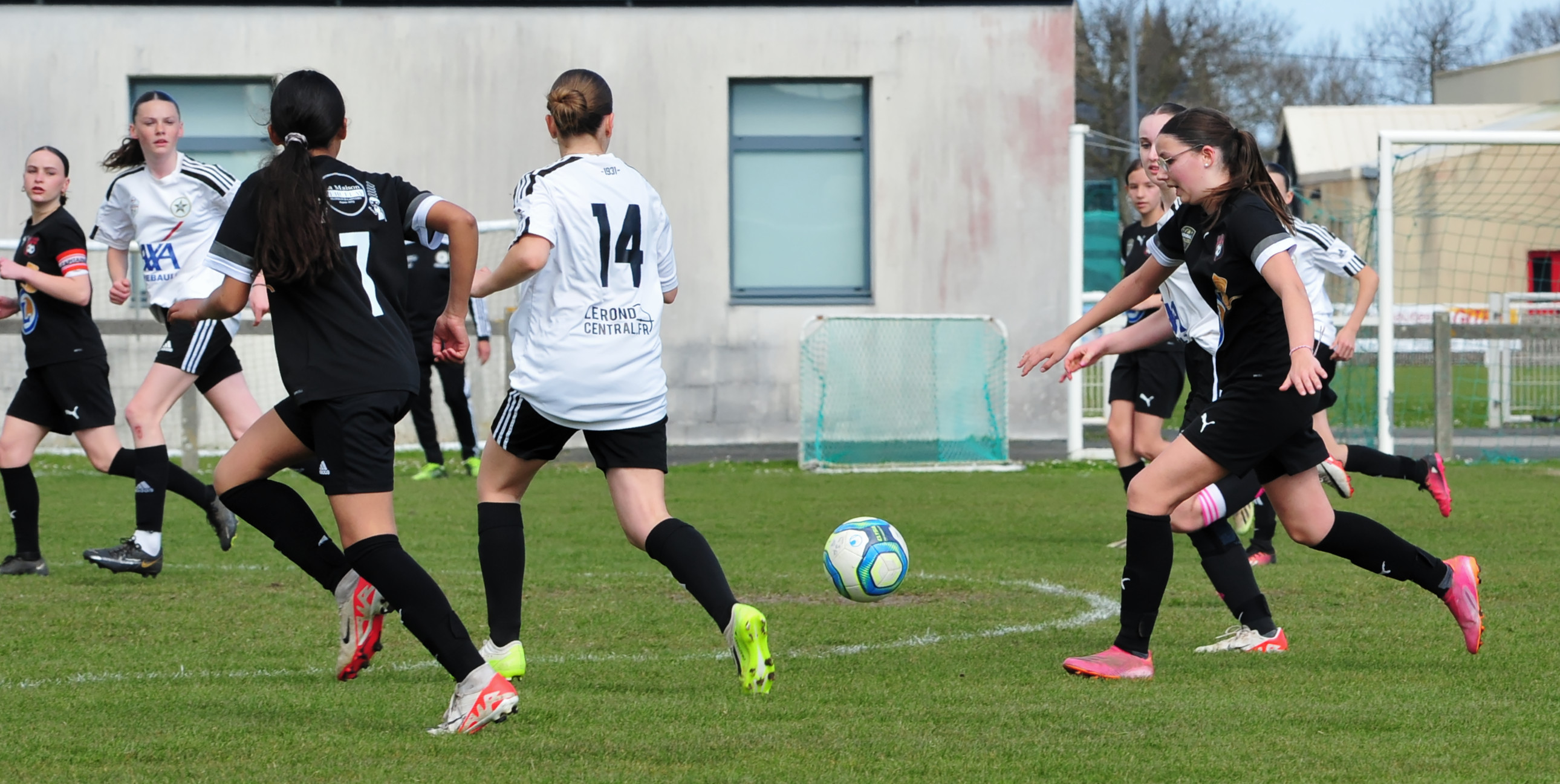 DSC 5134 DxO