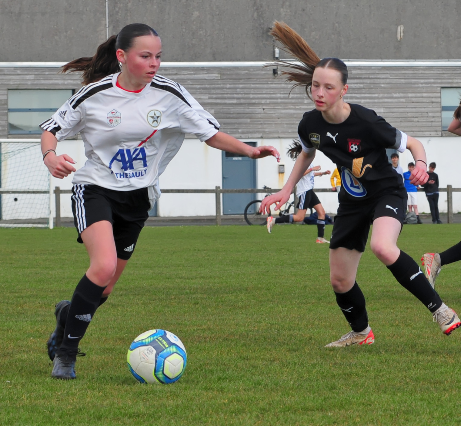 DSC 5167 DxO