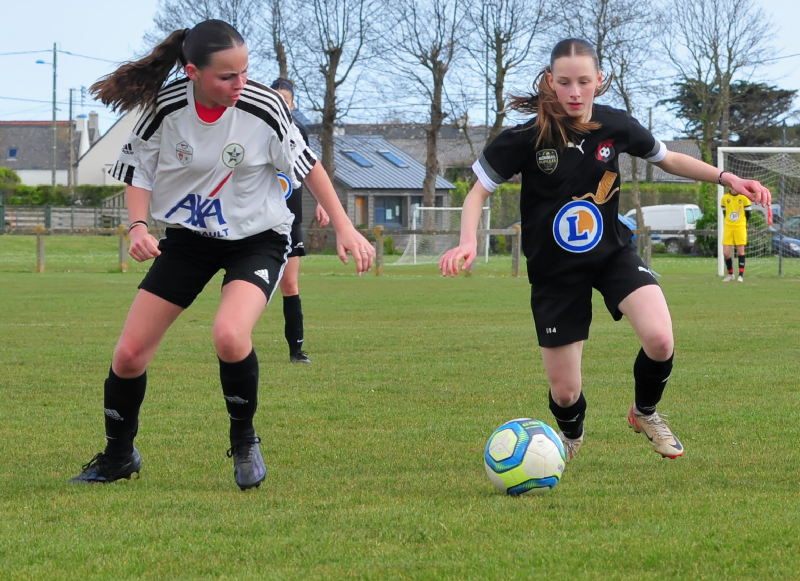 DSC 5179 DxO