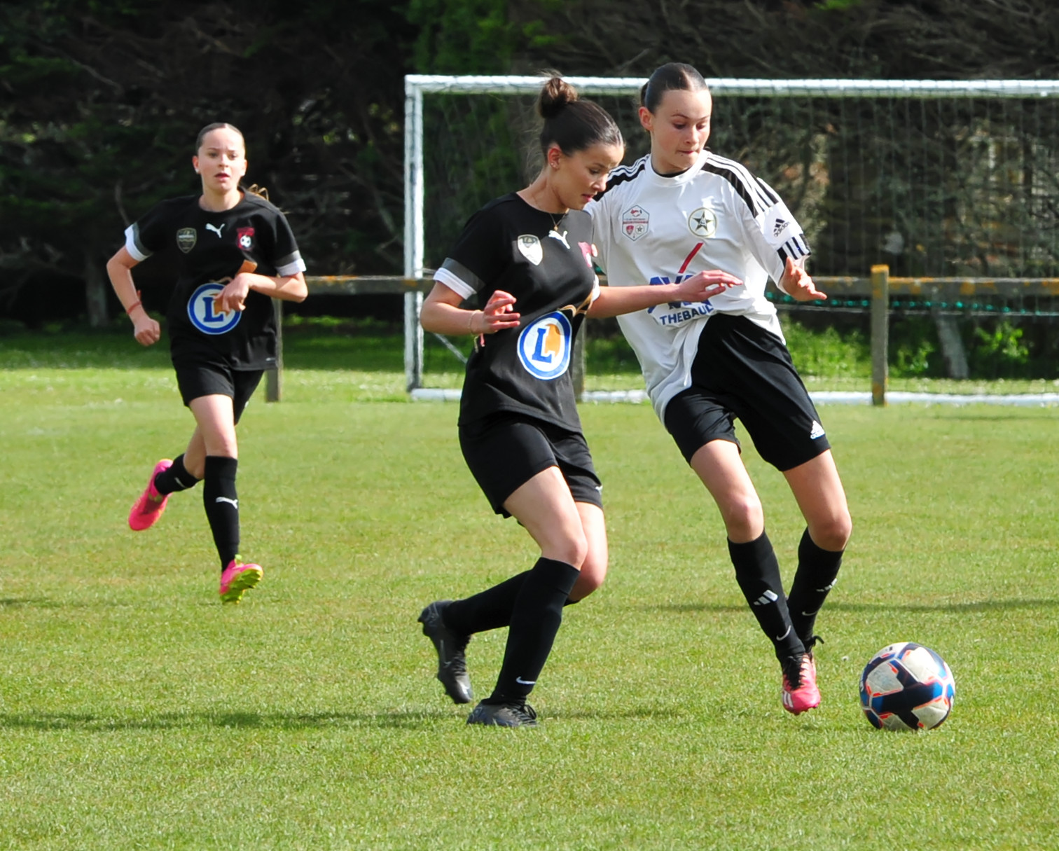 DSC 5343 DxO