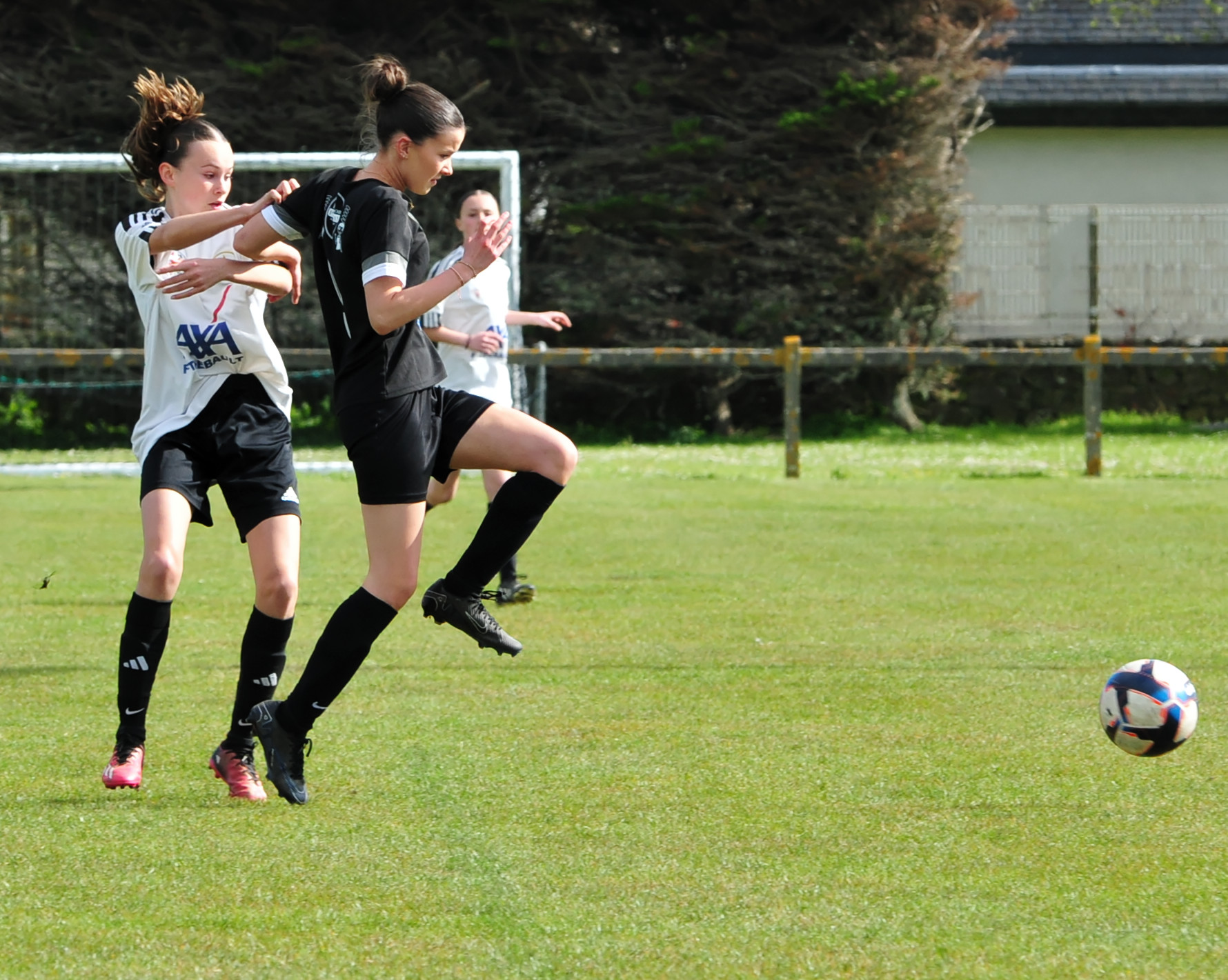 DSC 5347 DxO