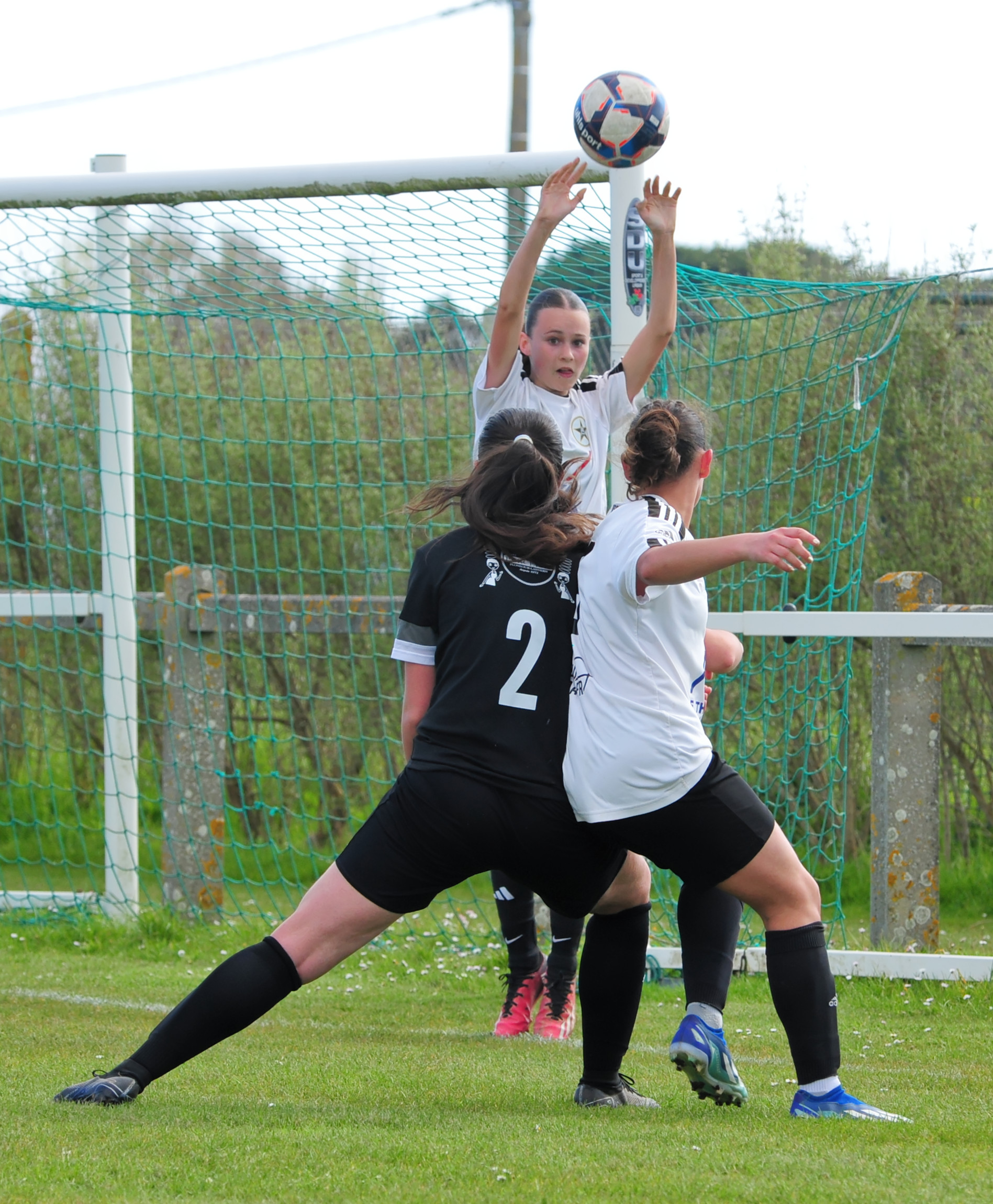 DSC 5520 DxO