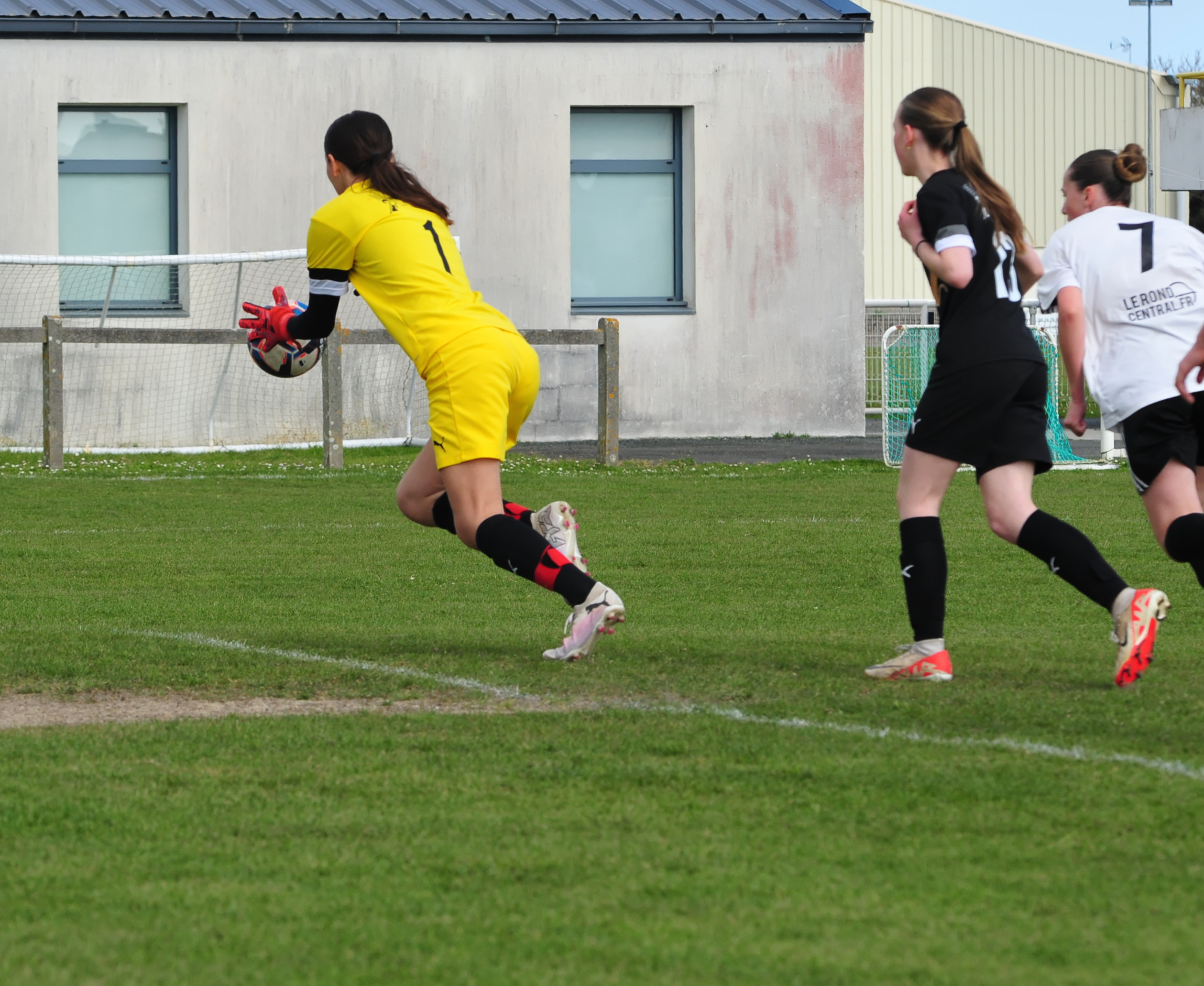 DSC 5541 DxO