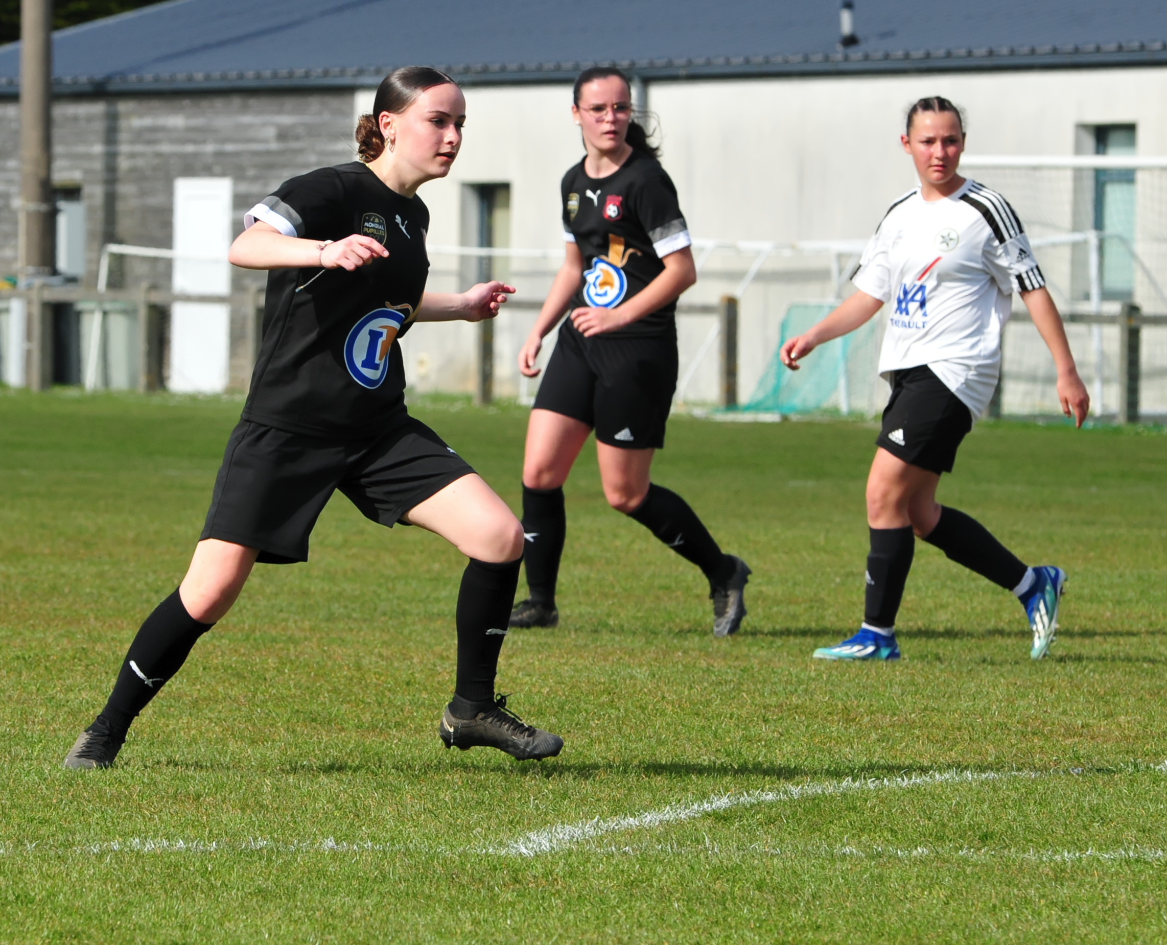 DSC 5604 DxO