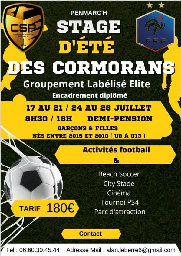 356932346 781693837082138 7343682236773510701 n