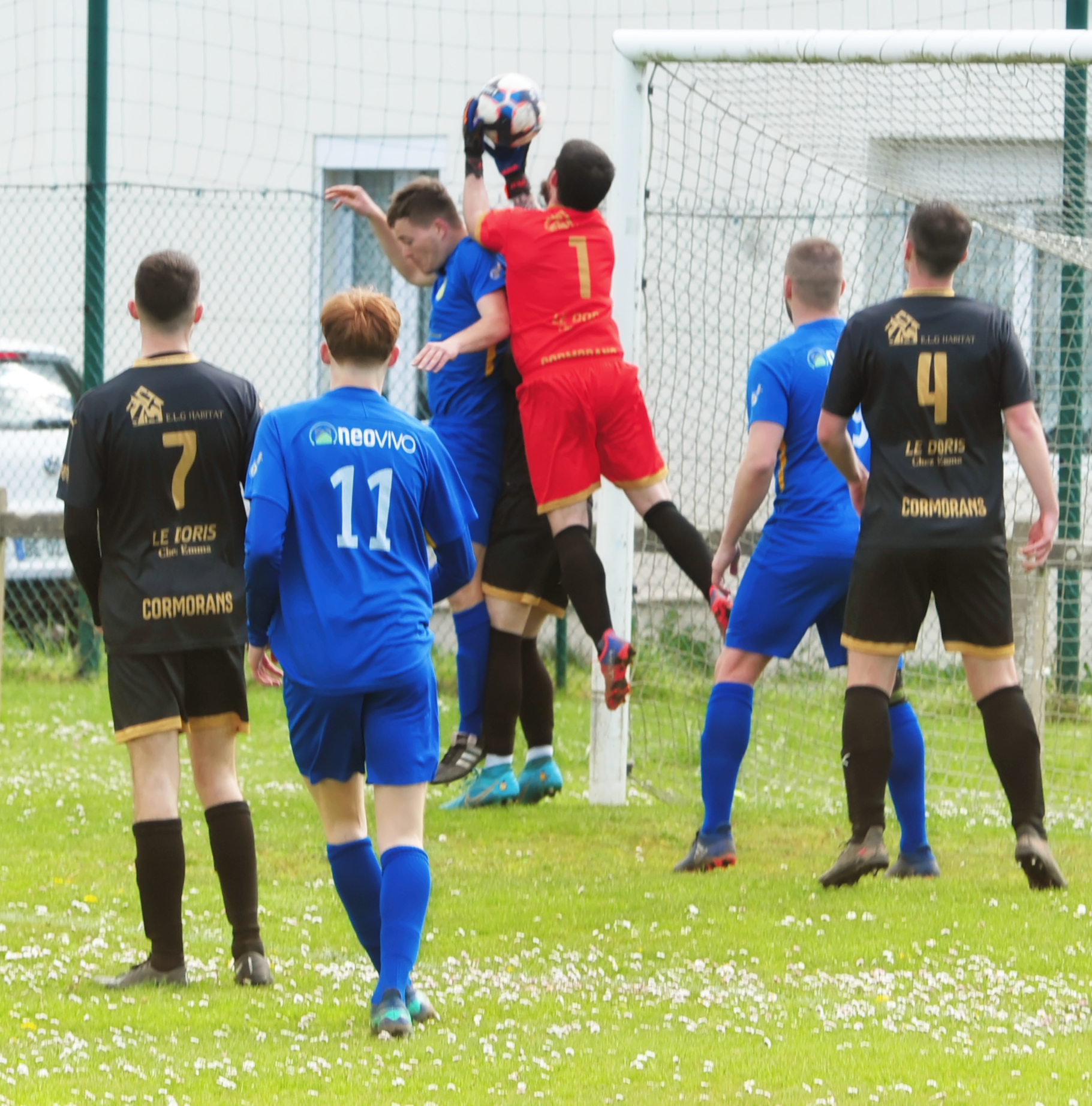 Steve avait "bien " le ballon en mains...il y a charge de l'adversaire (qui ne joue pas du tout le ballon) qui commet donc une faute