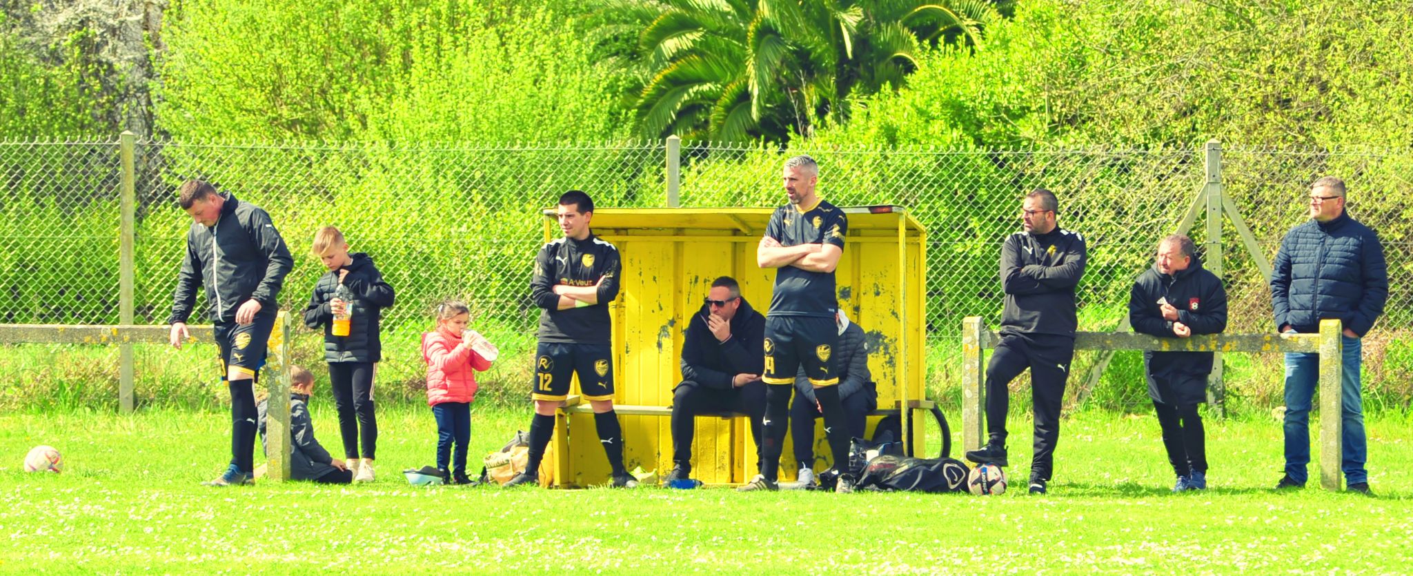 le banc s'impatiente